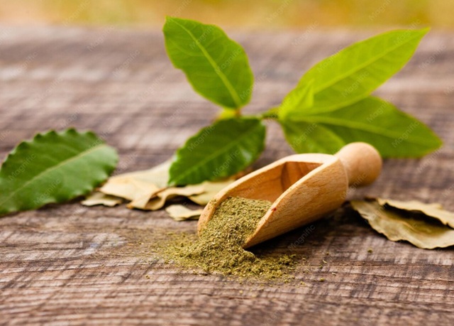 obrázek kratomu