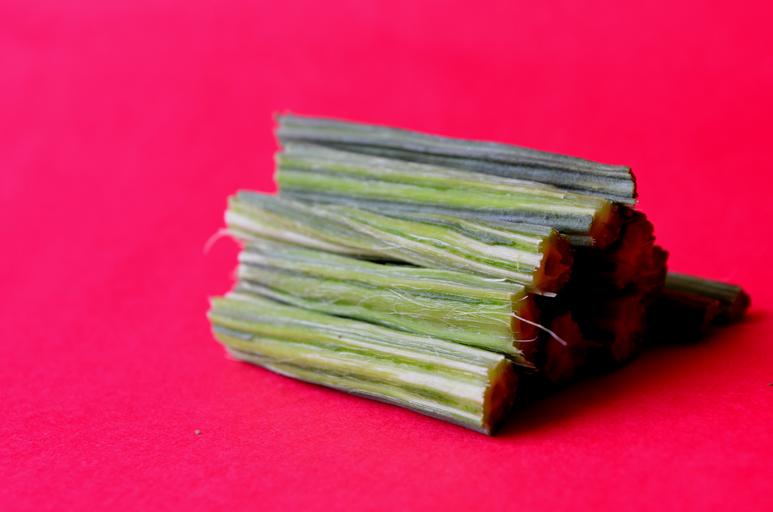 moringa1